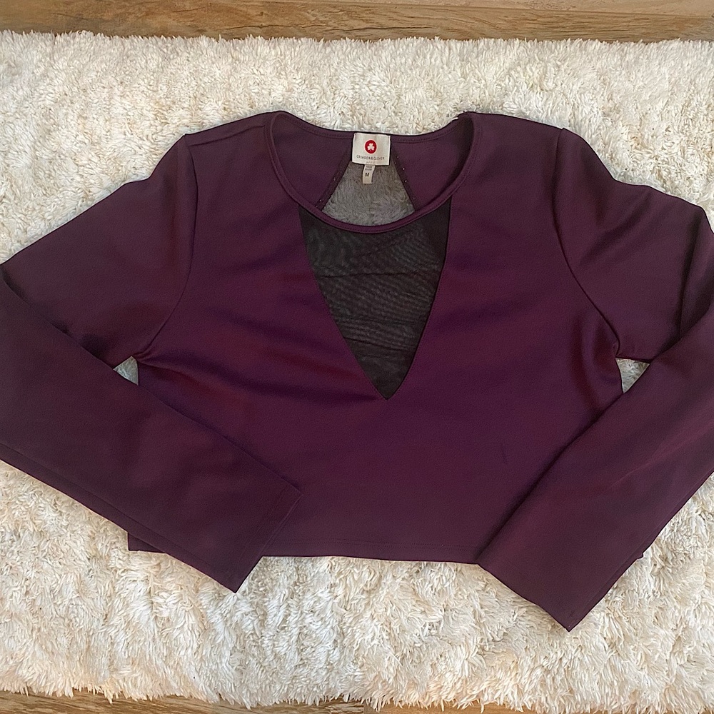 Crimson & Clover Purple Mesh Top (SIZE M)